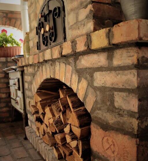 Pensjonat Halász Airport Panzio