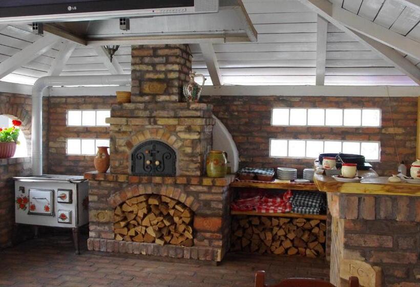 Pensjonat Halász Airport Panzio