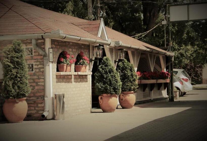 Pensjonat Halász Airport Panzio