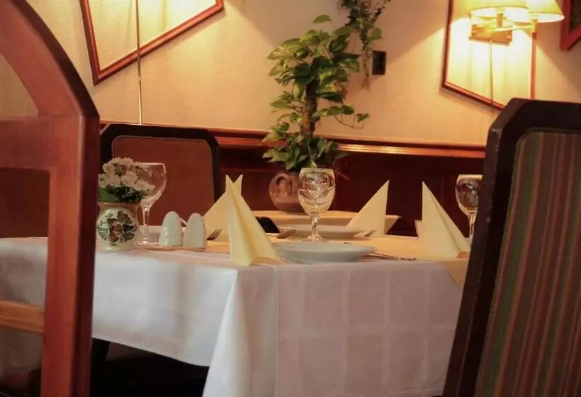 Majatalo Halász Airport Panzio