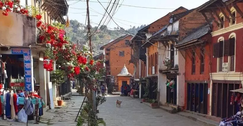 پانسیون Unique Hotel And Lodge   Pleasure Of Homely Stay