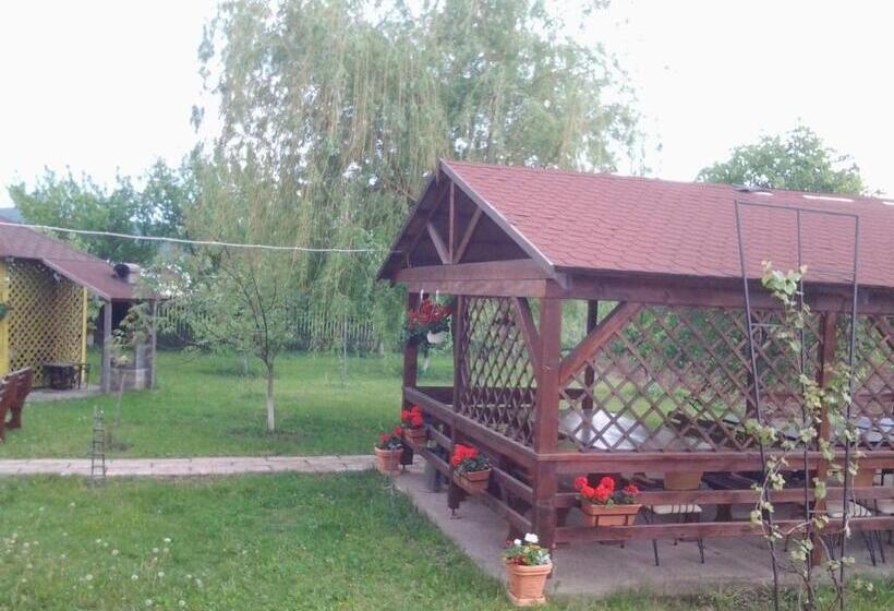 پانسیون Vila Vlad