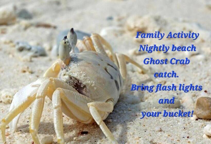 Perdido Key Purple Parrot Resort