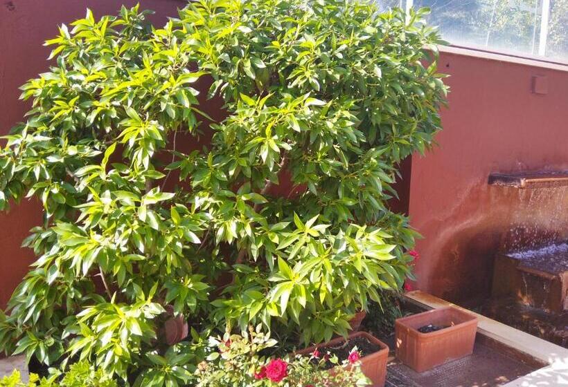 Apartamentos Turísticos La Castilleja