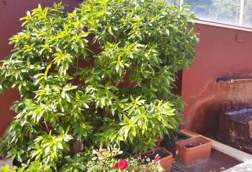 Apartamentos Turísticos La Castilleja