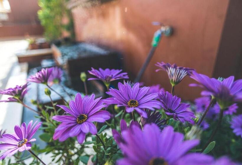 Apartamentos Turísticos La Castilleja