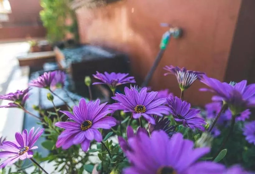 Apartamentos Turísticos La Castilleja