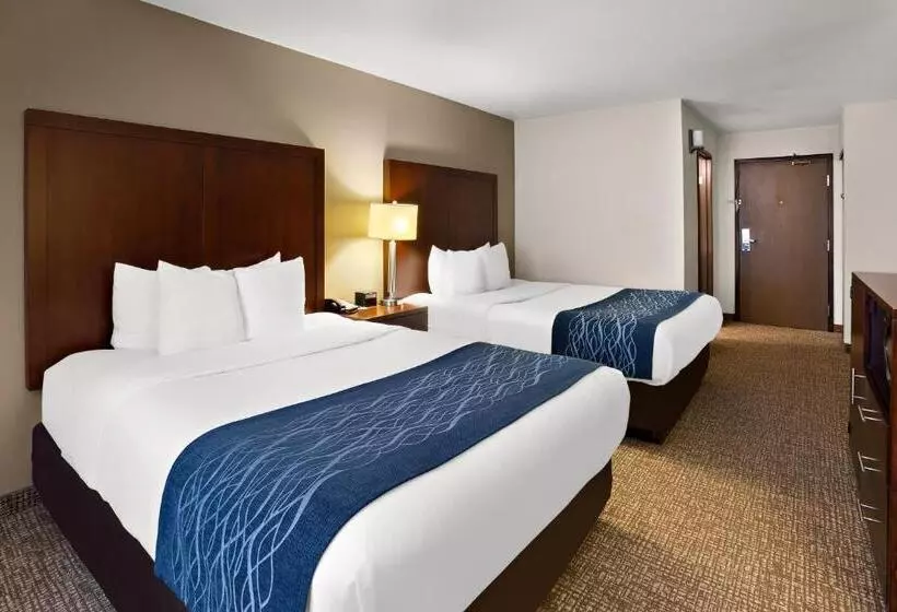 هتل Comfort Inn Lacey  Olympia