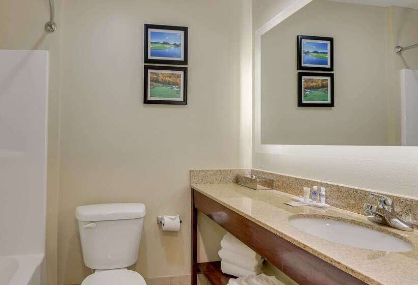 فندق Comfort Inn & Suites Augusta Fort Eisenhower Area