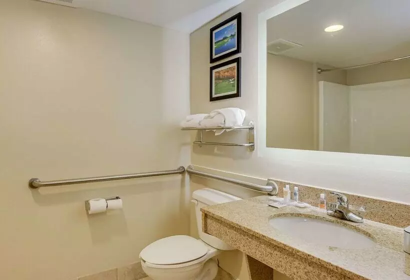 酒店 Comfort Inn & Suites Augusta Fort Eisenhower Area