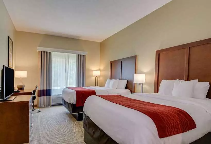 酒店 Comfort Inn & Suites Augusta Fort Eisenhower Area