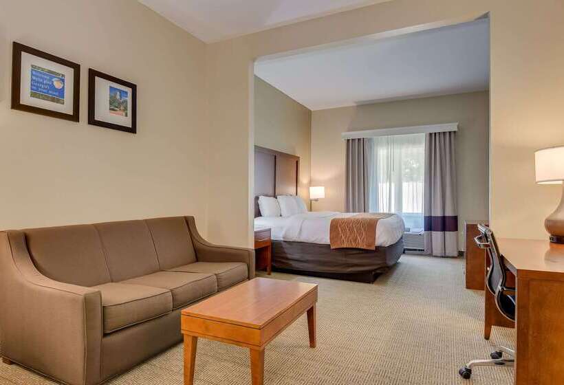 فندق Comfort Inn & Suites Augusta Fort Eisenhower Area