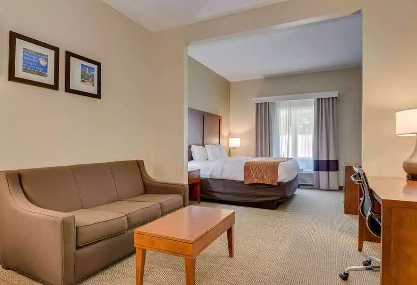 酒店 Comfort Inn & Suites Augusta Fort Eisenhower Area