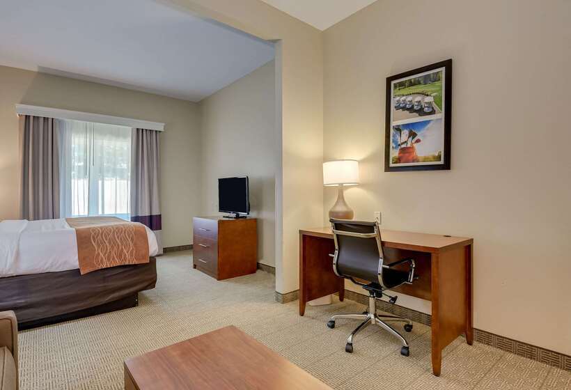 فندق Comfort Inn & Suites Augusta Fort Eisenhower Area