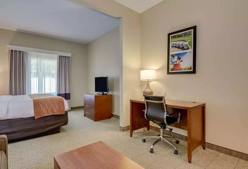 酒店 Comfort Inn & Suites Augusta Fort Eisenhower Area
