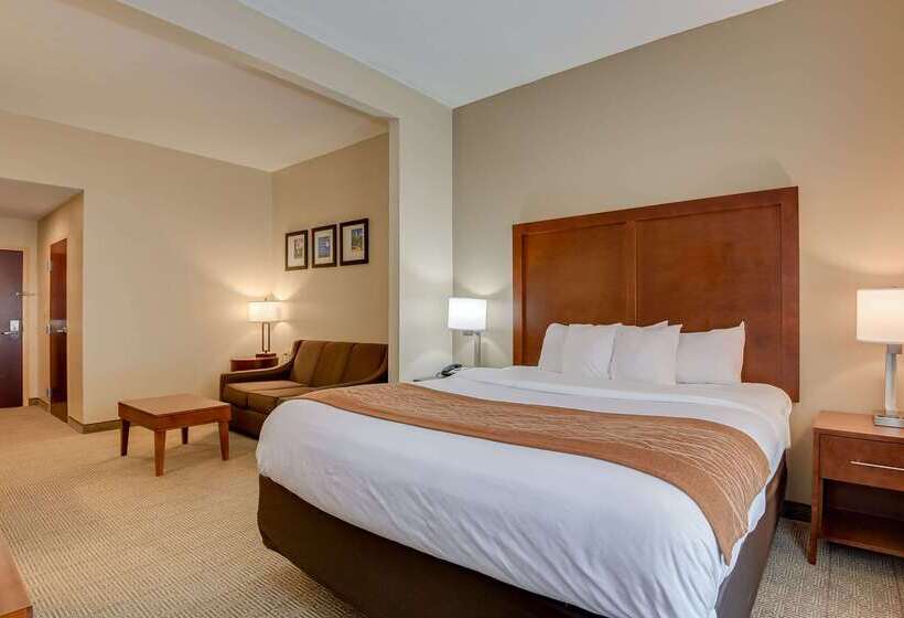 فندق Comfort Inn & Suites Augusta Fort Eisenhower Area