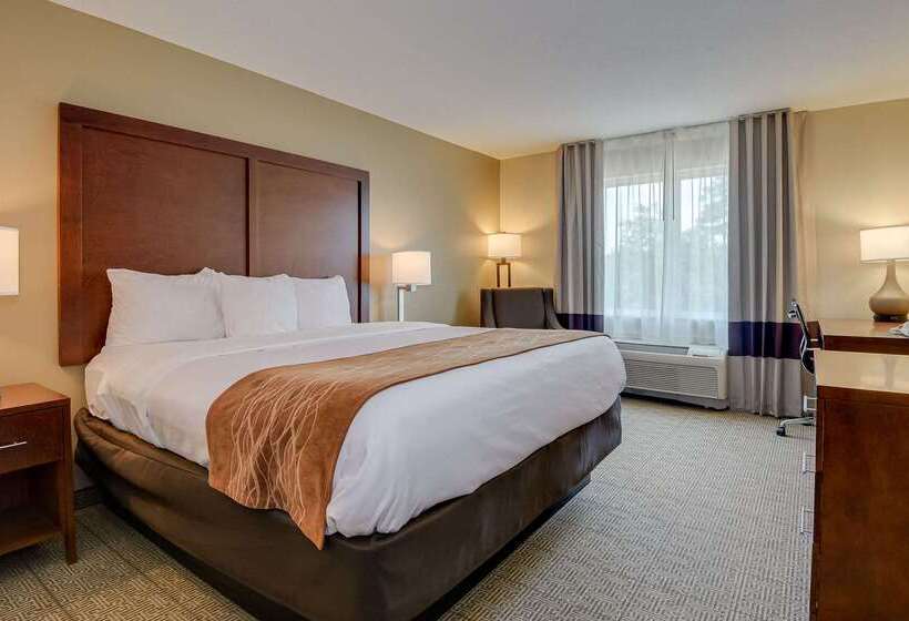 فندق Comfort Inn & Suites Augusta Fort Eisenhower Area