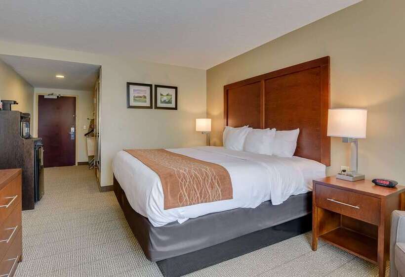 فندق Comfort Inn & Suites Augusta Fort Eisenhower Area
