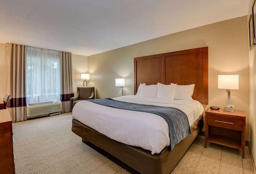 فندق Comfort Inn & Suites Augusta Fort Eisenhower Area