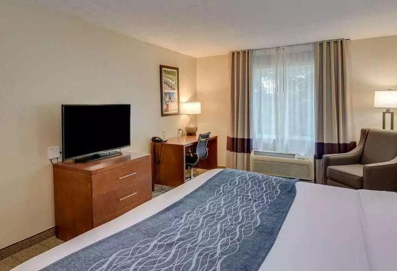 酒店 Comfort Inn & Suites Augusta Fort Eisenhower Area