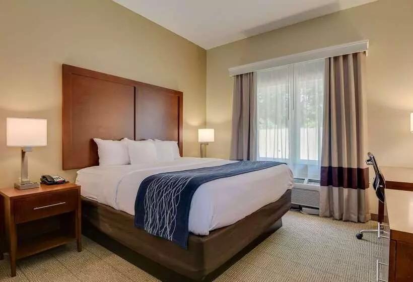 酒店 Comfort Inn & Suites Augusta Fort Eisenhower Area