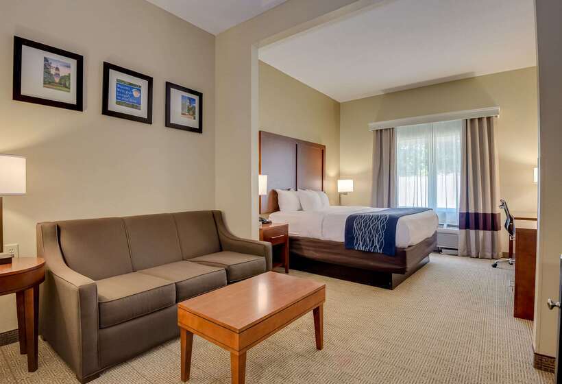 فندق Comfort Inn & Suites Augusta Fort Eisenhower Area