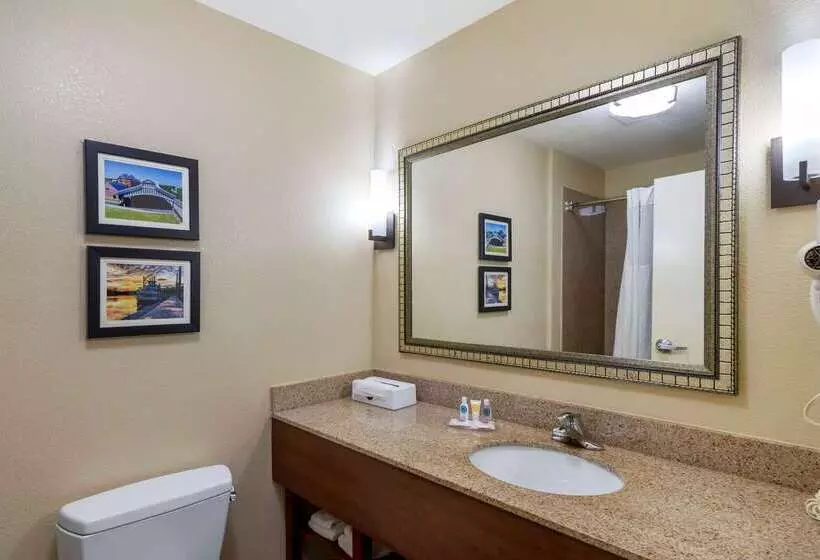 فندق Comfort Inn & Suites Montgomery Eastchase