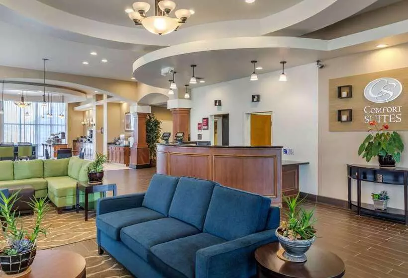 酒店 Comfort Suites Barstow Near I15