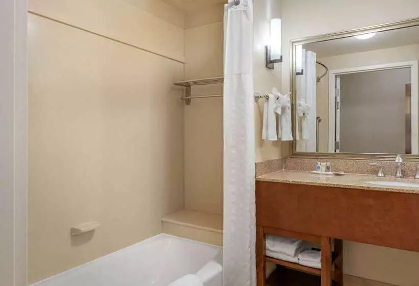 酒店 Comfort Suites Barstow Near I15