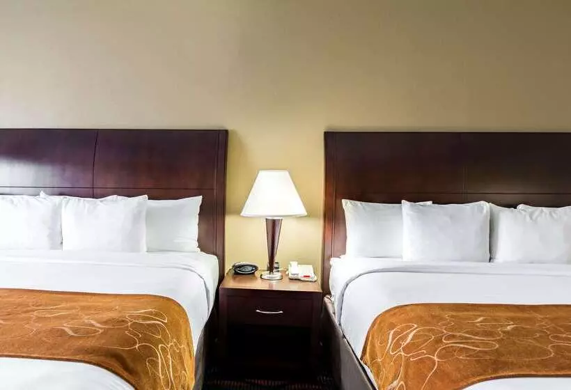 Отель Comfort Suites Beaumont I10