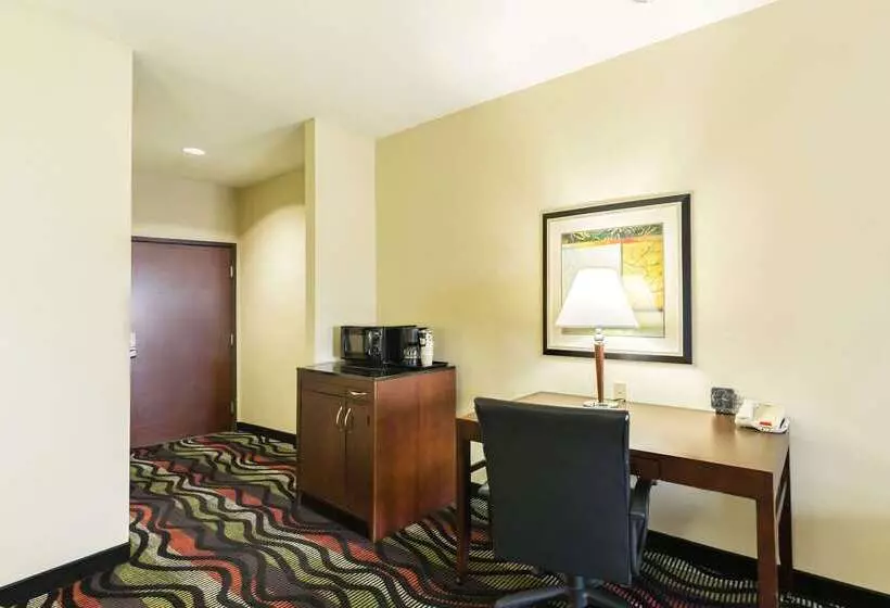 Отель Comfort Suites Beaumont I10