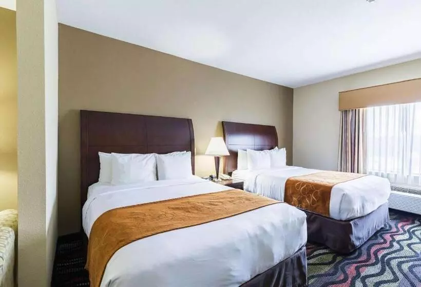 Отель Comfort Suites Beaumont I10