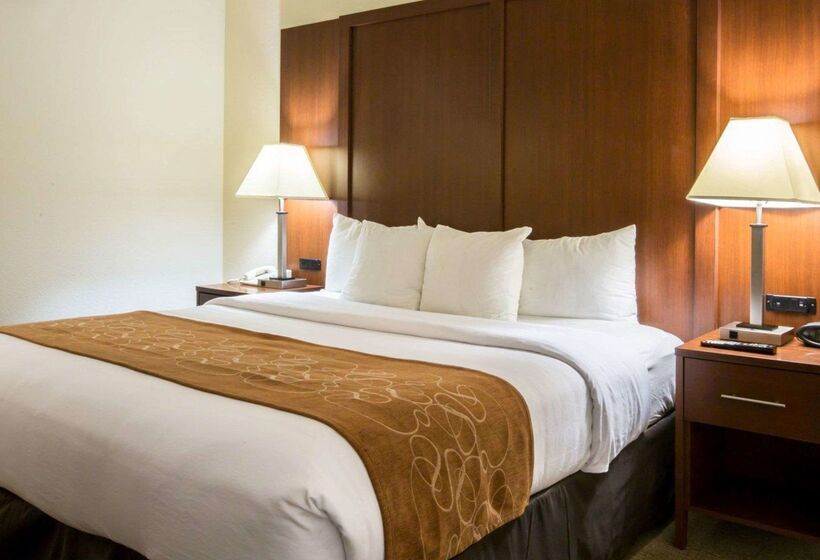 酒店 Comfort Suites Cummingatlanta Near Northside Hospital Forsyth
