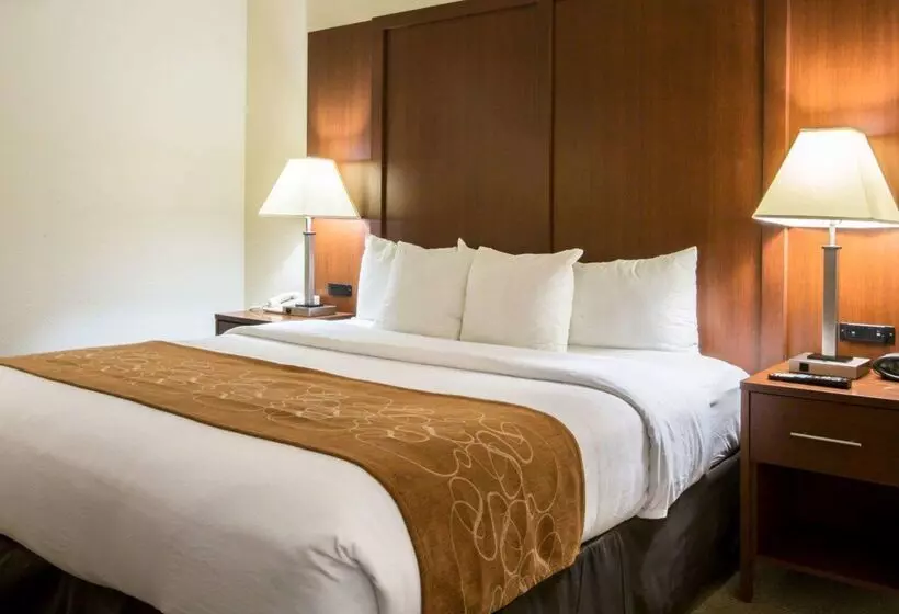 בית מלון כפרי Comfort Suites Cummingatlanta Near Northside Hospital Forsyth