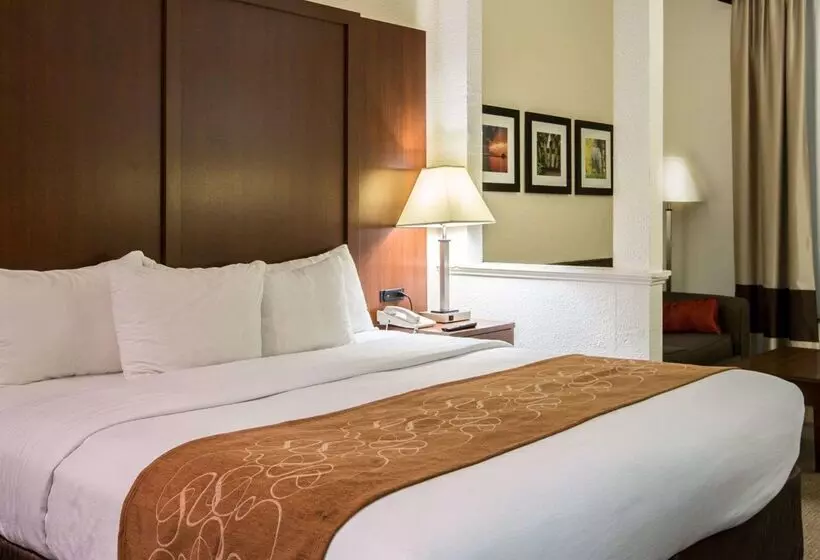 בית מלון כפרי Comfort Suites Cummingatlanta Near Northside Hospital Forsyth