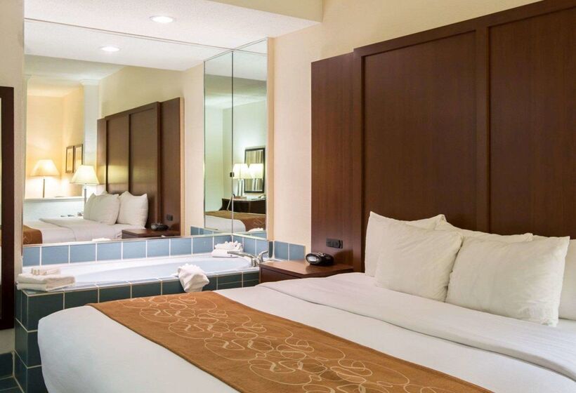 酒店 Comfort Suites Cummingatlanta Near Northside Hospital Forsyth