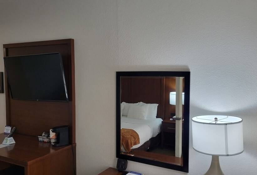 酒店 Comfort Suites Cummingatlanta Near Northside Hospital Forsyth