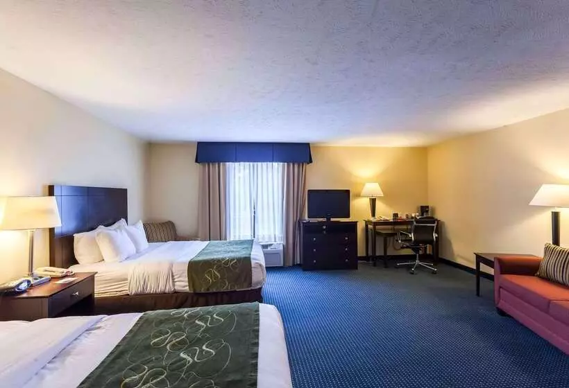 호텔 Comfort Suites East Lincoln   Mall Area