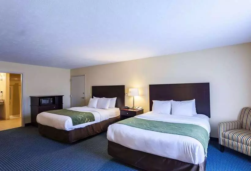 호텔 Comfort Suites East Lincoln   Mall Area