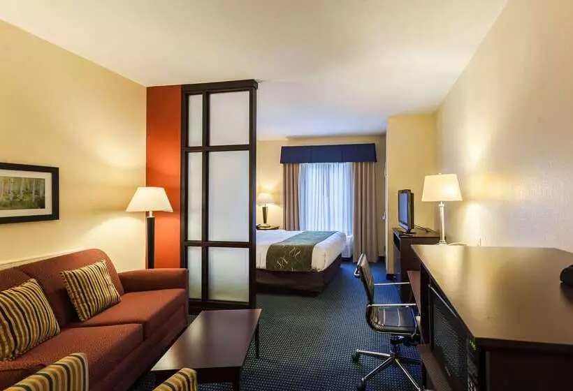 호텔 Comfort Suites East Lincoln   Mall Area