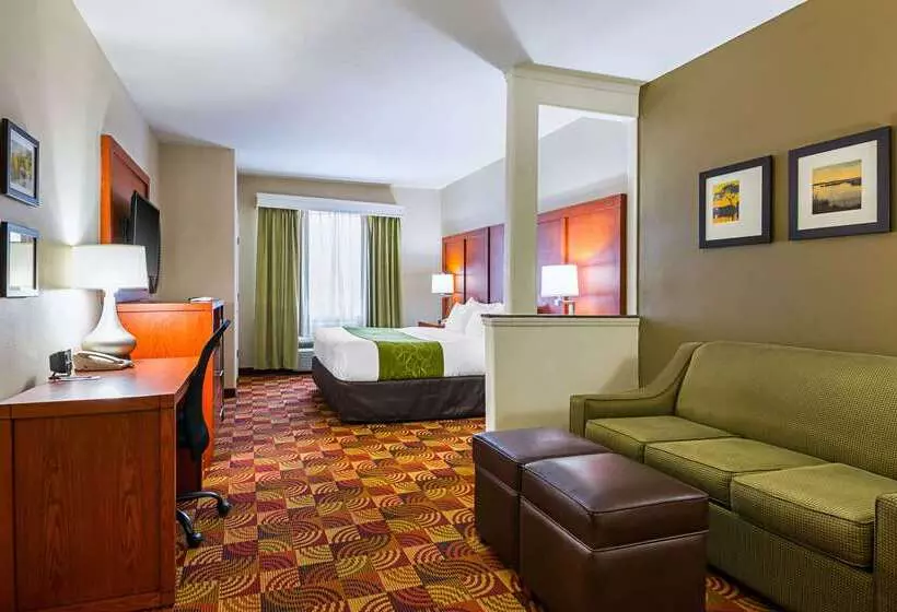 هتل Comfort Suites Lake Charles
