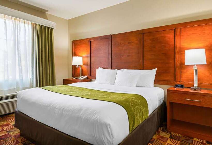 ホテル Comfort Suites Lake Charles