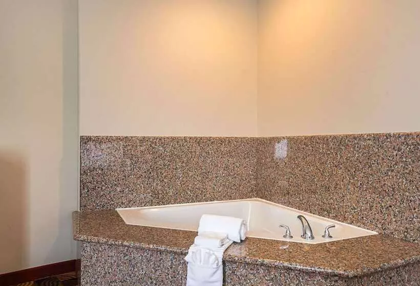 هتل Comfort Suites Lake Charles