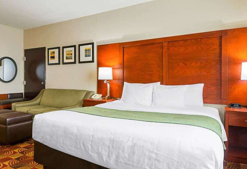 ホテル Comfort Suites Lake Charles