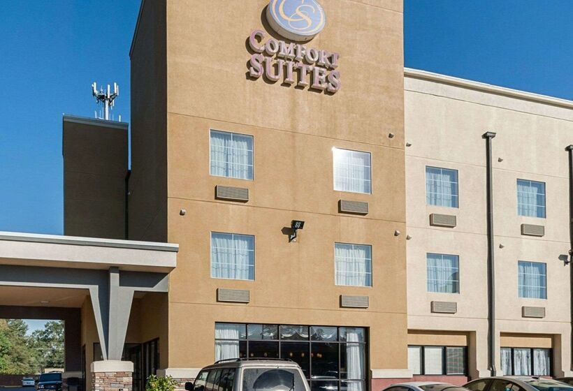 ホテル Comfort Suites Lake Charles