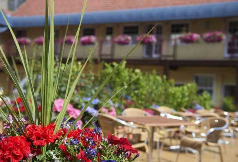 فندق Duke Of Normandie