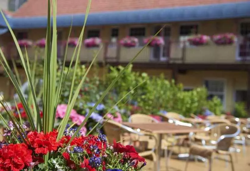 Отель Duke Of Normandie