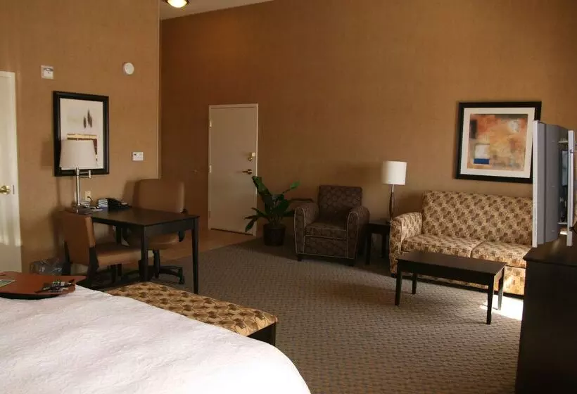 酒店 Hampton Inn & Suites Barstow