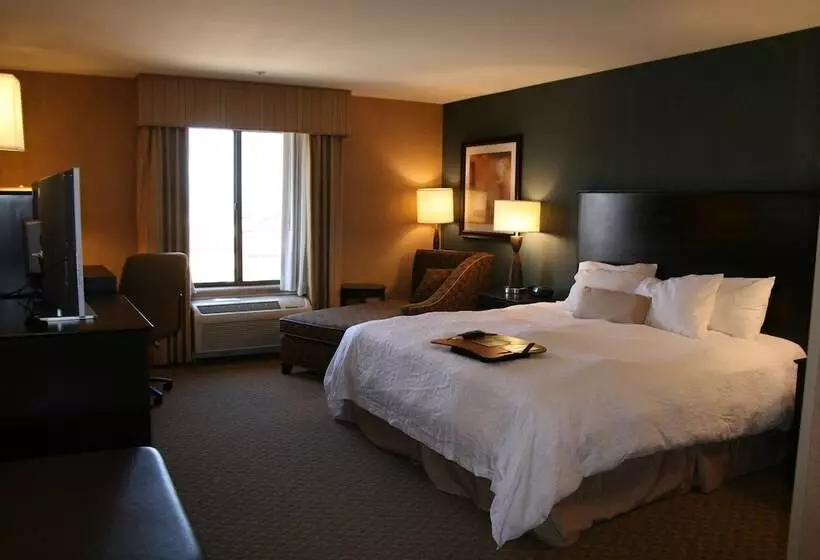 酒店 Hampton Inn & Suites Barstow