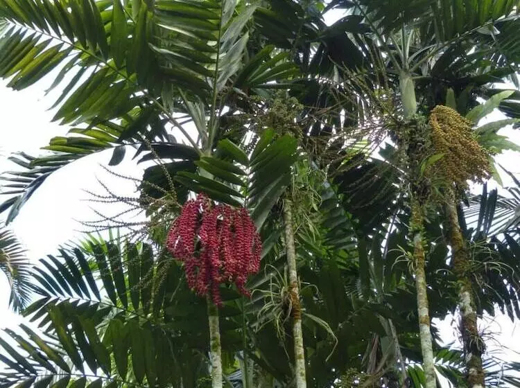 هتل Le Flamboyant